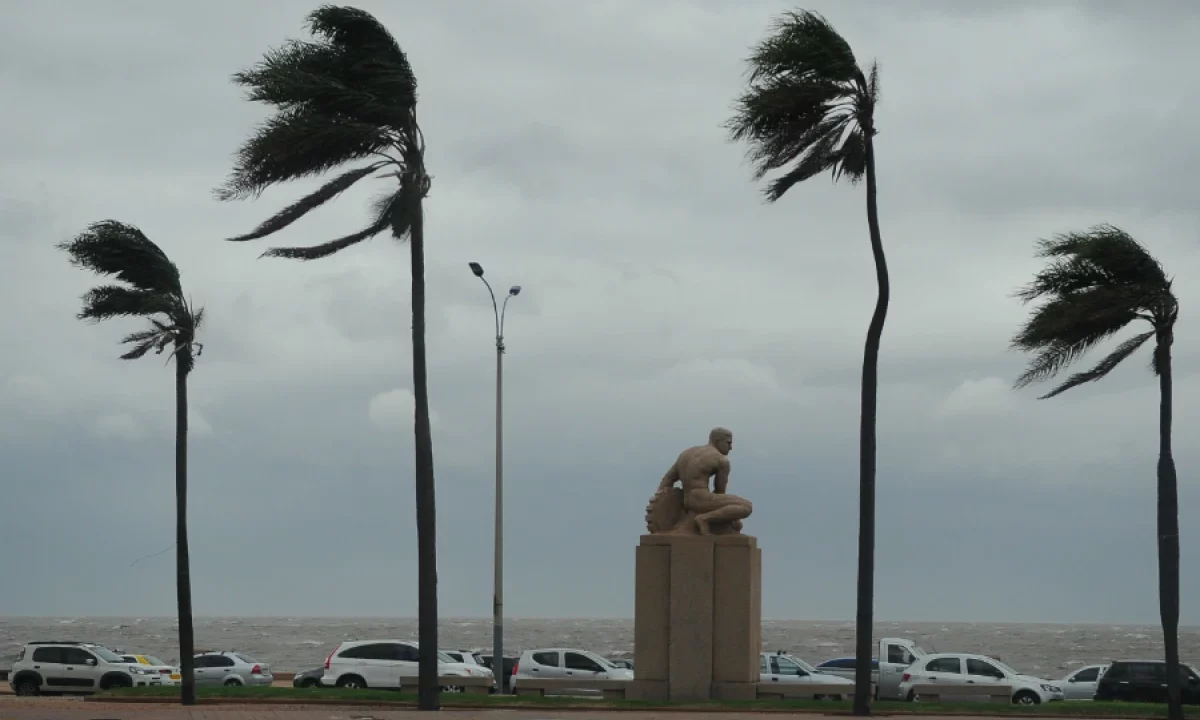 Inumet activa alerta amarilla por vientos intensos en Uruguay este lunes