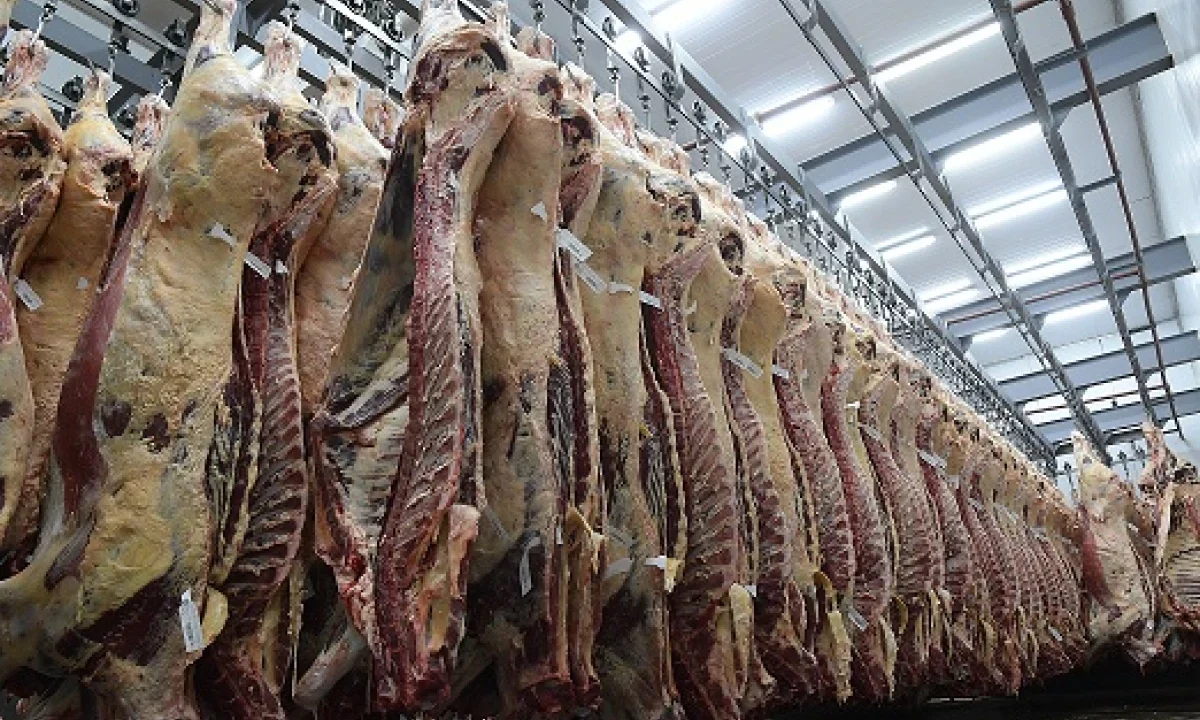 Foica en conflicto con frigoríficos por propuesta salarial inferior a la oficial