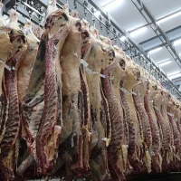 Foica en conflicto con frigoríficos por propuesta salarial inferior a la oficial
